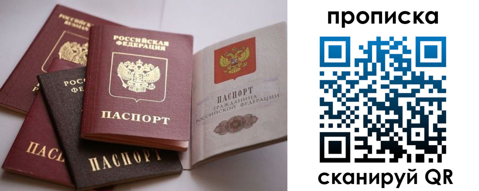 прописка ребенка в Шебекино